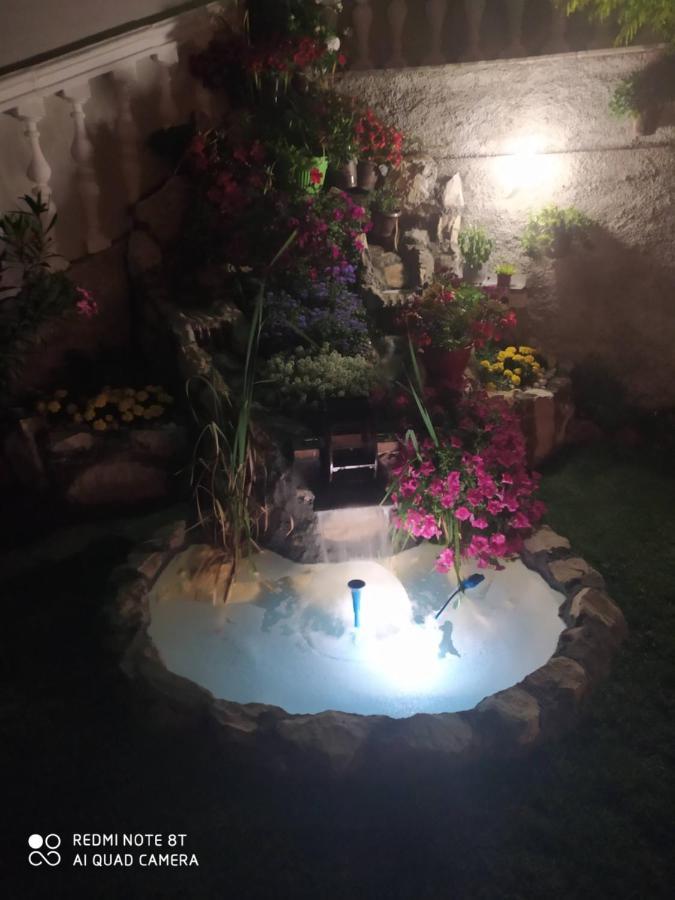 טרביניה Villa Jelena מראה חיצוני תמונה